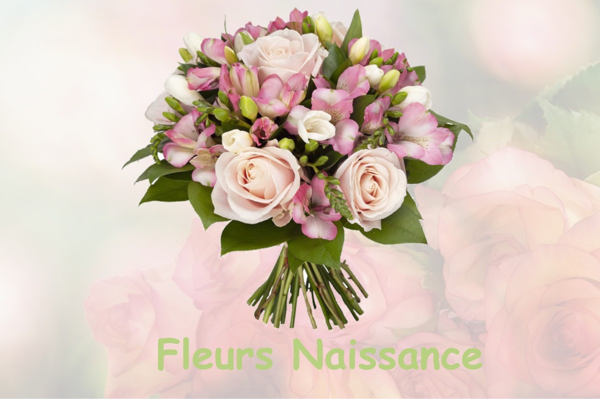 fleurs naissance VELAINES