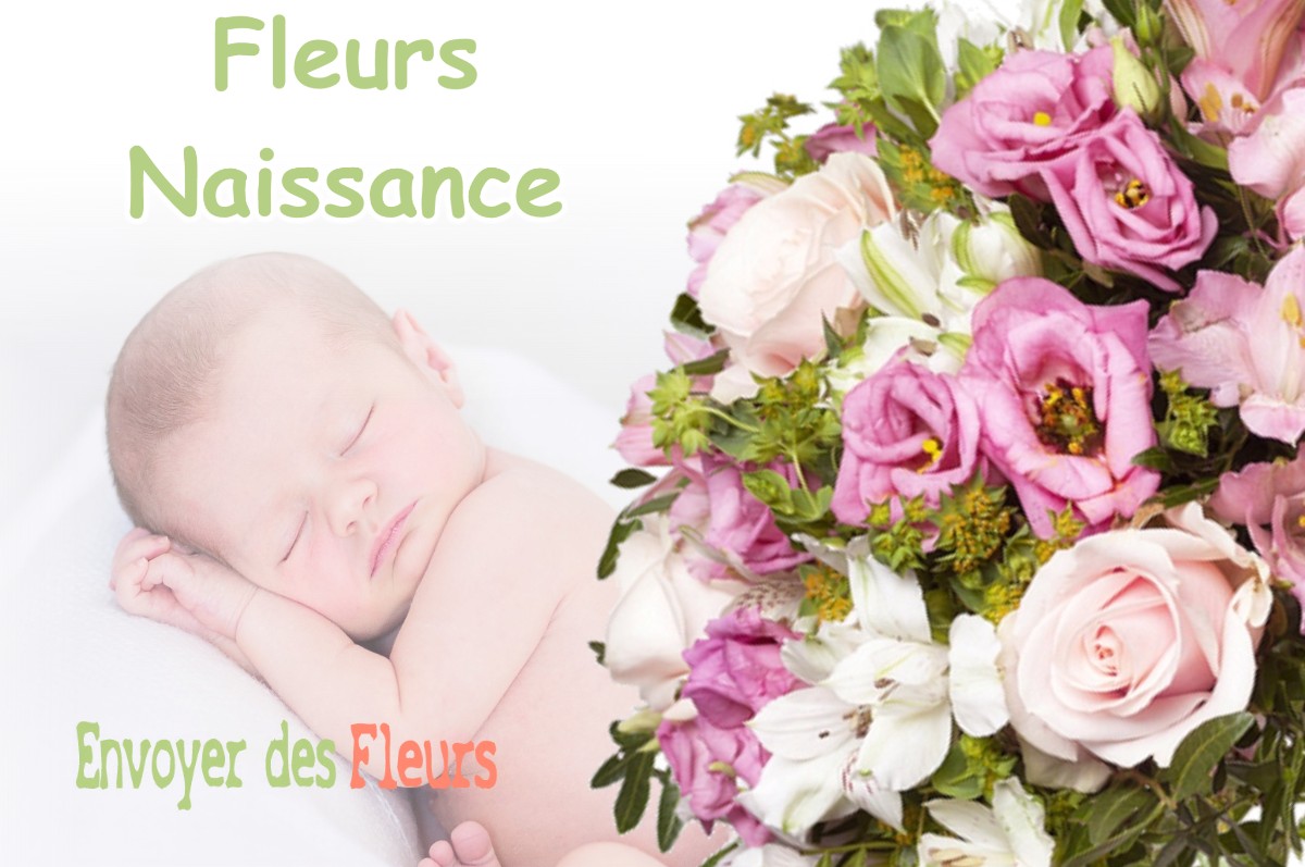 lIVRAISON FLEURS NAISSANCE à VELAINES